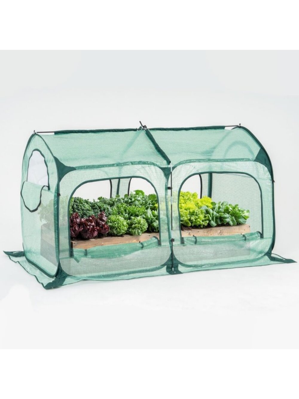 Large Pop-Up Greenhouse Tent with Mesh Windows - Cold Frost Protector for Plants